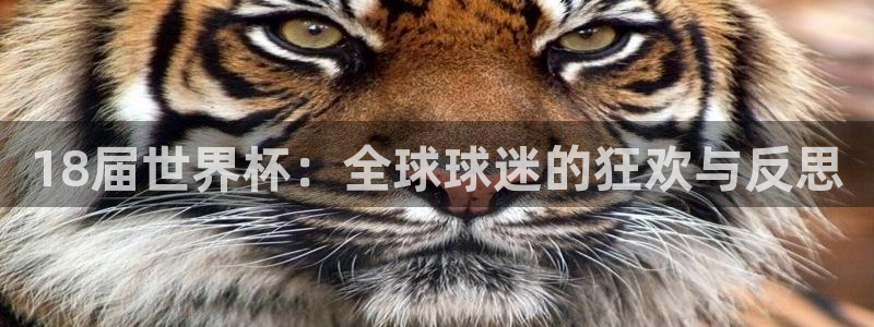 世界杯赛程时间表:18届世界杯:全球球迷的狂欢与反思