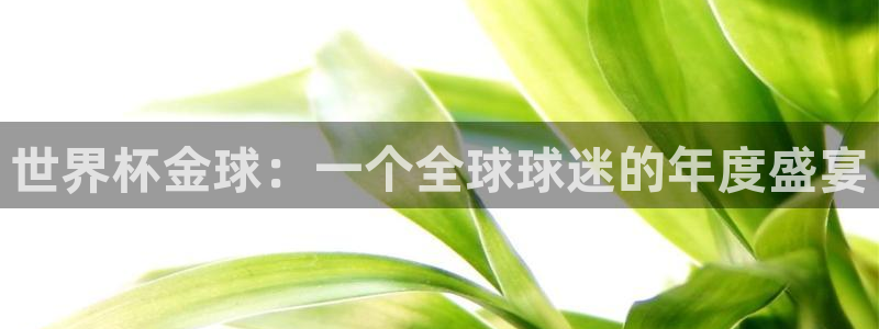 世界杯时间:世界杯金球:一个全球球迷的年度盛宴