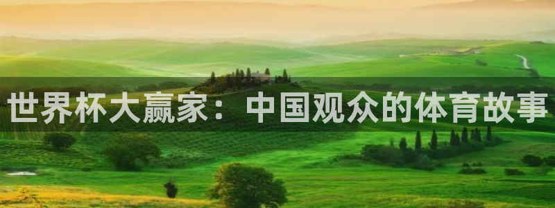 2026世界杯亚洲预选赛赛程:世界杯大赢家:中国观众的体育故事
