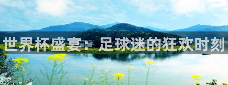亚洲区世界杯预选赛:世界杯盛宴:足球迷的狂欢时刻